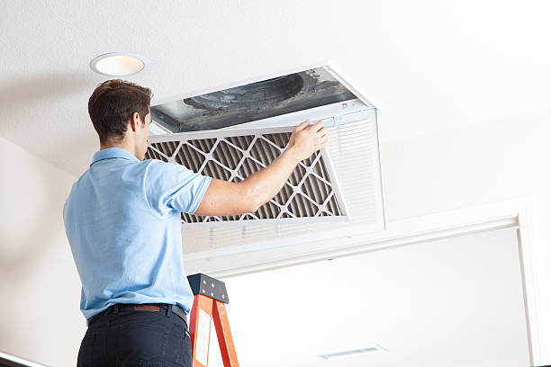 Best Air Filters and Purifiers in Waycross, GA